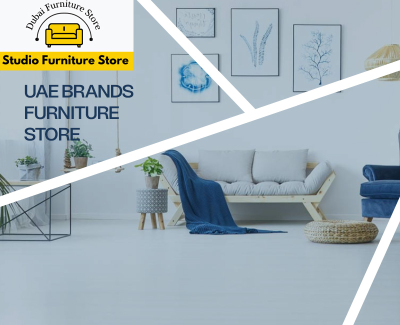 Dubai furniture store website design and development